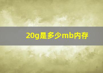 20g是多少mb内存