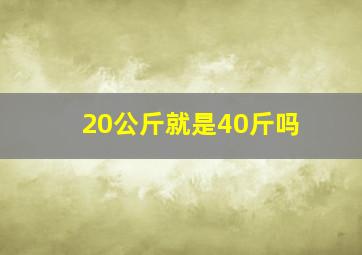 20公斤就是40斤吗