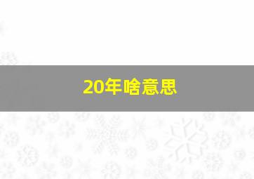 20年啥意思