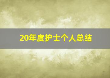 20年度护士个人总结