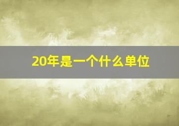 20年是一个什么单位