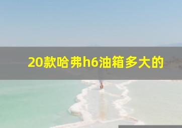 20款哈弗h6油箱多大的