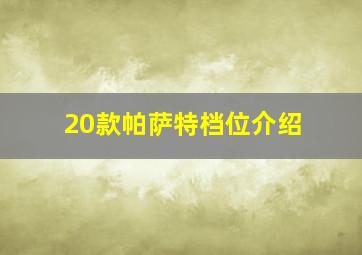 20款帕萨特档位介绍