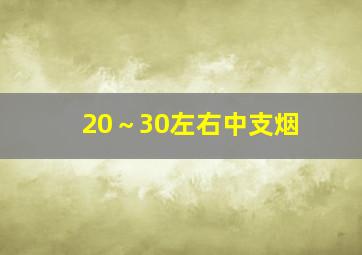 20～30左右中支烟