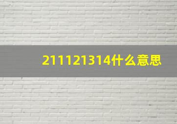 211121314什么意思