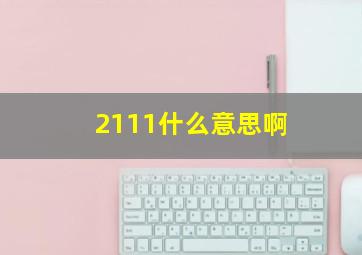 2111什么意思啊