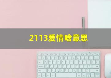 2113爱情啥意思