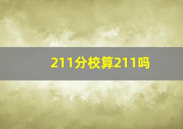 211分校算211吗