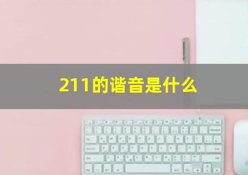 211的谐音是什么