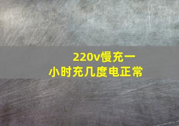 220v慢充一小时充几度电正常