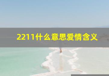 2211什么意思爱情含义