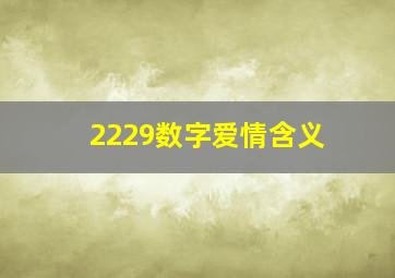 2229数字爱情含义