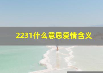 2231什么意思爱情含义