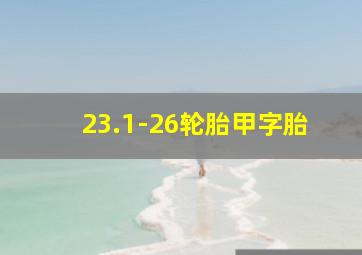 23.1-26轮胎甲字胎