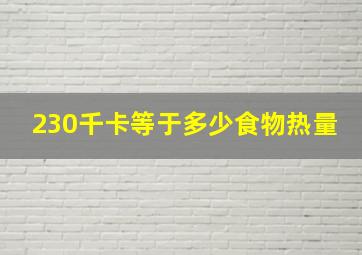 230千卡等于多少食物热量