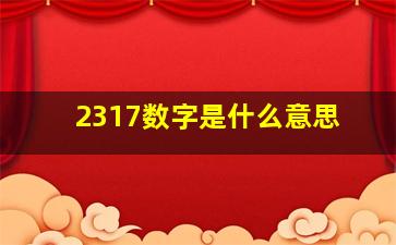 2317数字是什么意思