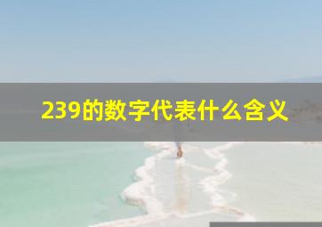 239的数字代表什么含义