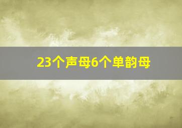 23个声母6个单韵母