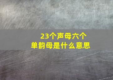 23个声母六个单韵母是什么意思