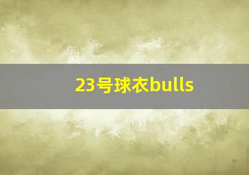 23号球衣bulls