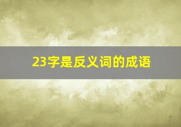 23字是反义词的成语