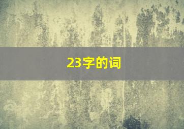 23字的词