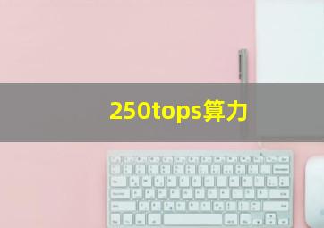 250tops算力