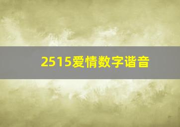 2515爱情数字谐音