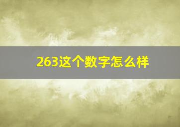 263这个数字怎么样