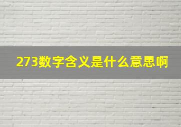 273数字含义是什么意思啊