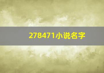 278471小说名字