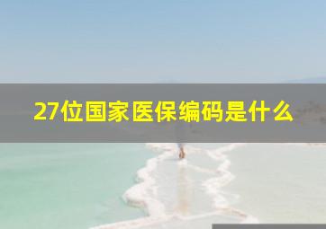 27位国家医保编码是什么