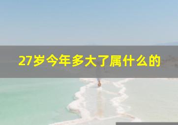 27岁今年多大了属什么的