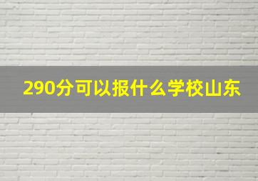 290分可以报什么学校山东