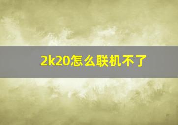 2k20怎么联机不了