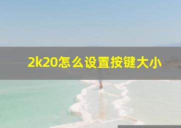 2k20怎么设置按键大小