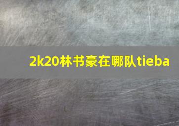 2k20林书豪在哪队tieba