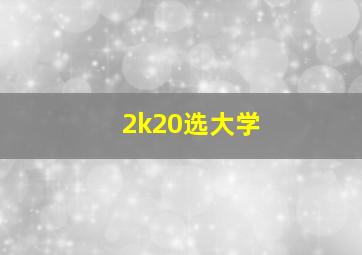 2k20选大学