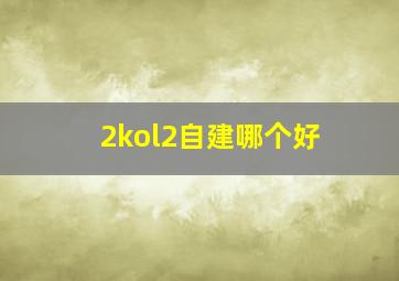 2kol2自建哪个好