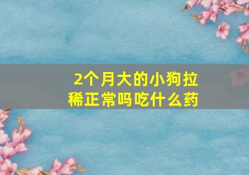 2个月大的小狗拉稀正常吗吃什么药