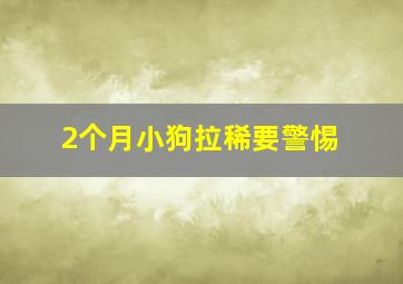 2个月小狗拉稀要警惕