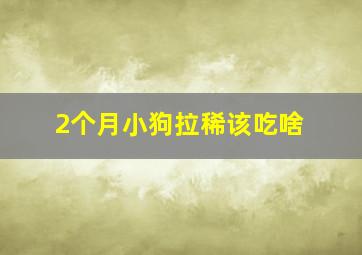 2个月小狗拉稀该吃啥