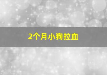 2个月小狗拉血