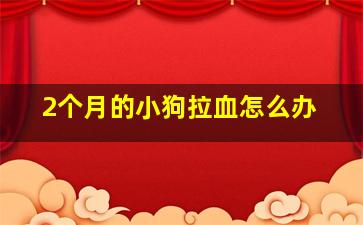 2个月的小狗拉血怎么办