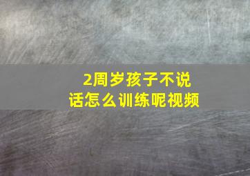 2周岁孩子不说话怎么训练呢视频