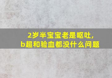 2岁半宝宝老是呕吐,b超和验血都没什么问题