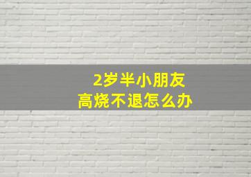 2岁半小朋友高烧不退怎么办