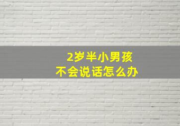 2岁半小男孩不会说话怎么办