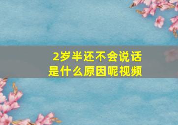 2岁半还不会说话是什么原因呢视频