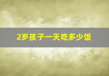 2岁孩子一天吃多少饭